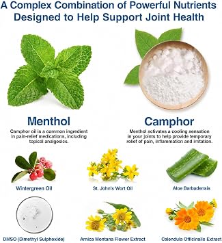 N-Labs Arctic Blast & Flexafen Bundle - Joint Support - Menthol, MSM