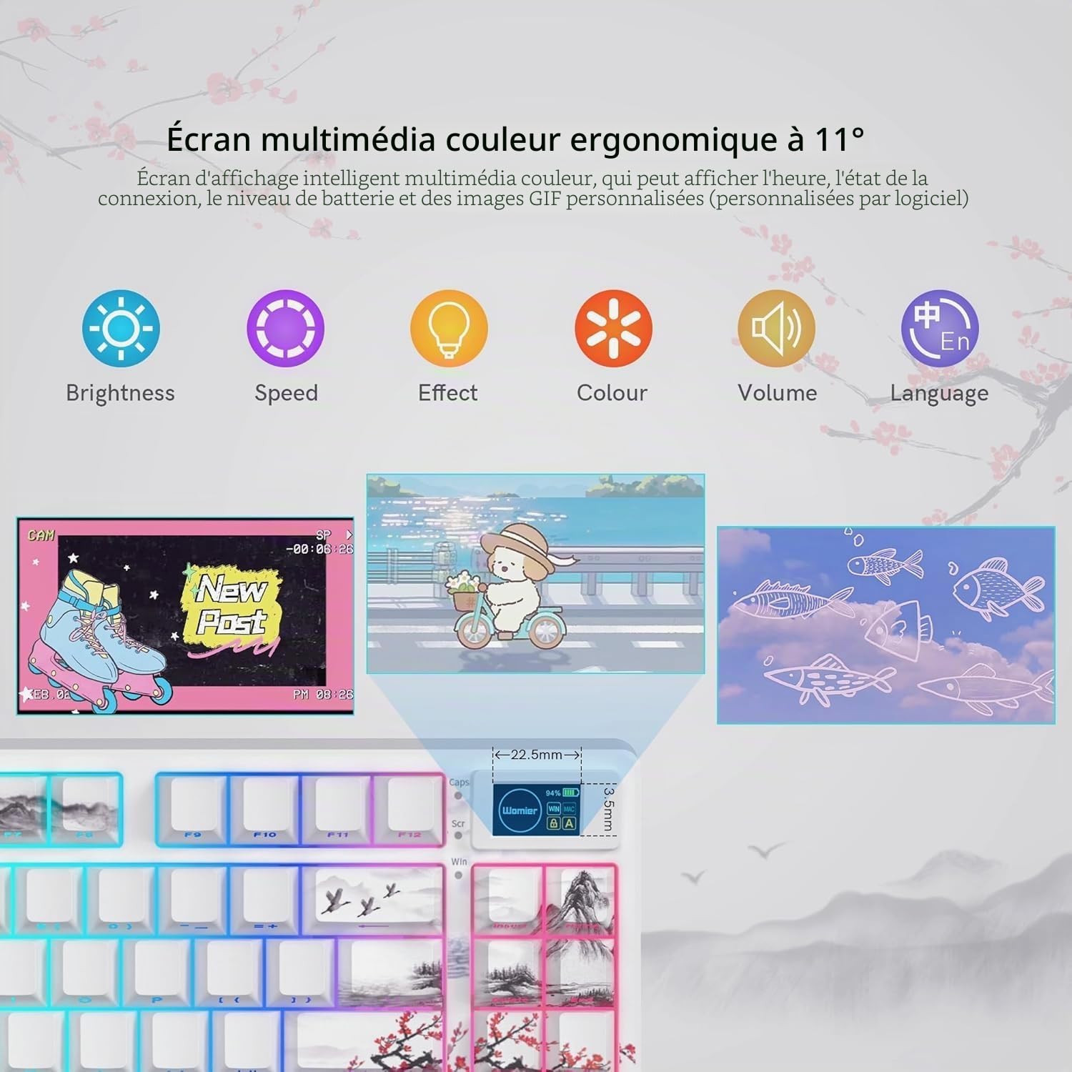 SK80 Pro Clavier mécanique 75%, QWERTY 3 Modes