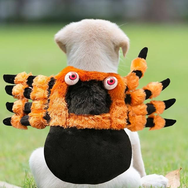 Foto 7 de 8 de Disfraz De Halloween Para Mascotas, Disfraz De Halloween De Araña Para Perro Y Gato