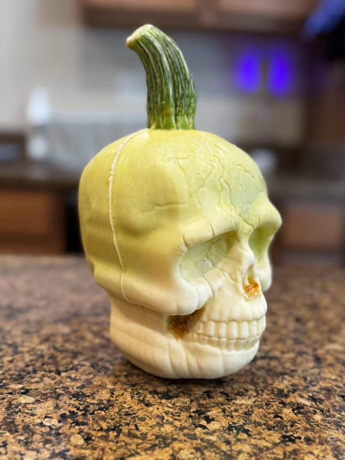 Small Skull Pumpkin Mold for Growing Skull Shaped Pumpkins and Watermelon