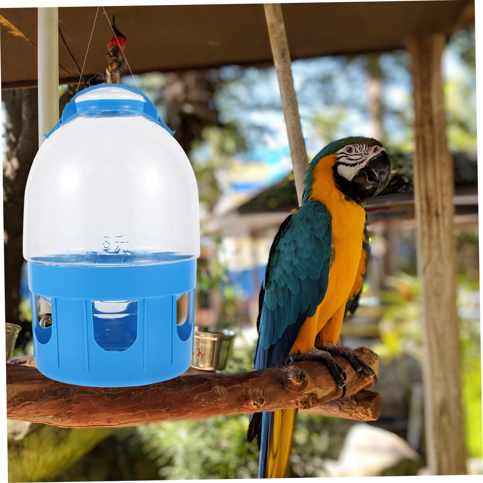 Mangiatoia per Piccioni Bevitore D’acqua Trasparente 8l, Abbeveratoio Professionale in Plastica Scala di Capacità, per Allevamento e Cura Uccelli Domestici Colore Casuale