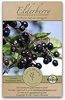 Vista 1 de Semillas de Gaea's Blessing - Semillas de saúco - Saúco negro americano tradicional - Semillas sin transgénicos con instrucciones de plantación