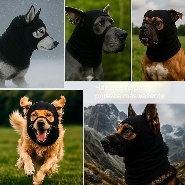 Foto 2 de 6 de Colenumone Sombrero para Perro: Haz Que tu Perro se vea Salvaje; Casco elástico y Resistente al Viento