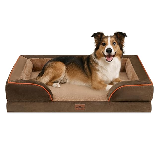 Comfort Expression Camas para Perros Grandes, Impermeables, ortopédicas, de Espuma, para Perros Grandes