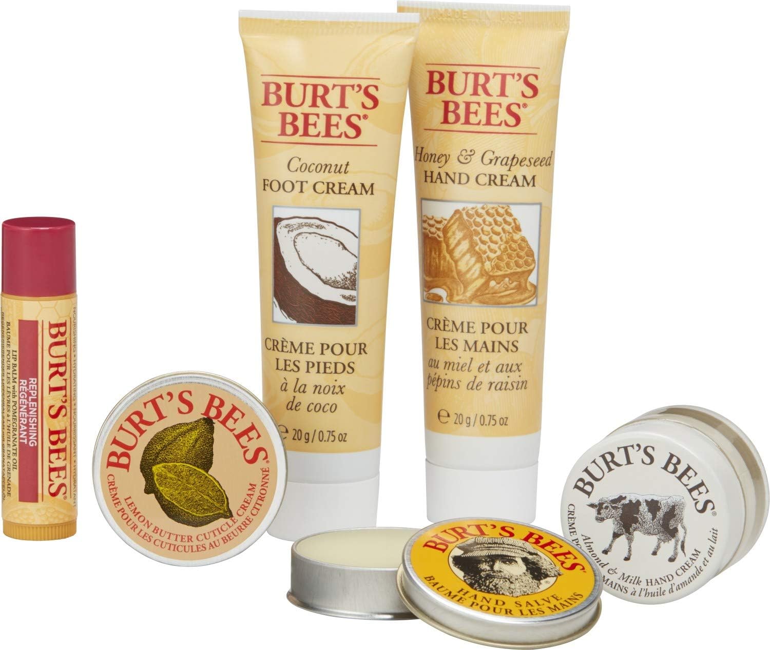 Burt's Bees Tips and Toes Kit