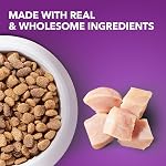 IAMS Advanced Health soutien à la mobilité, nourriture sèche pour chiens adultes – recette de poulet et grains entiers – Sac de 2,72 kg (6 lb)