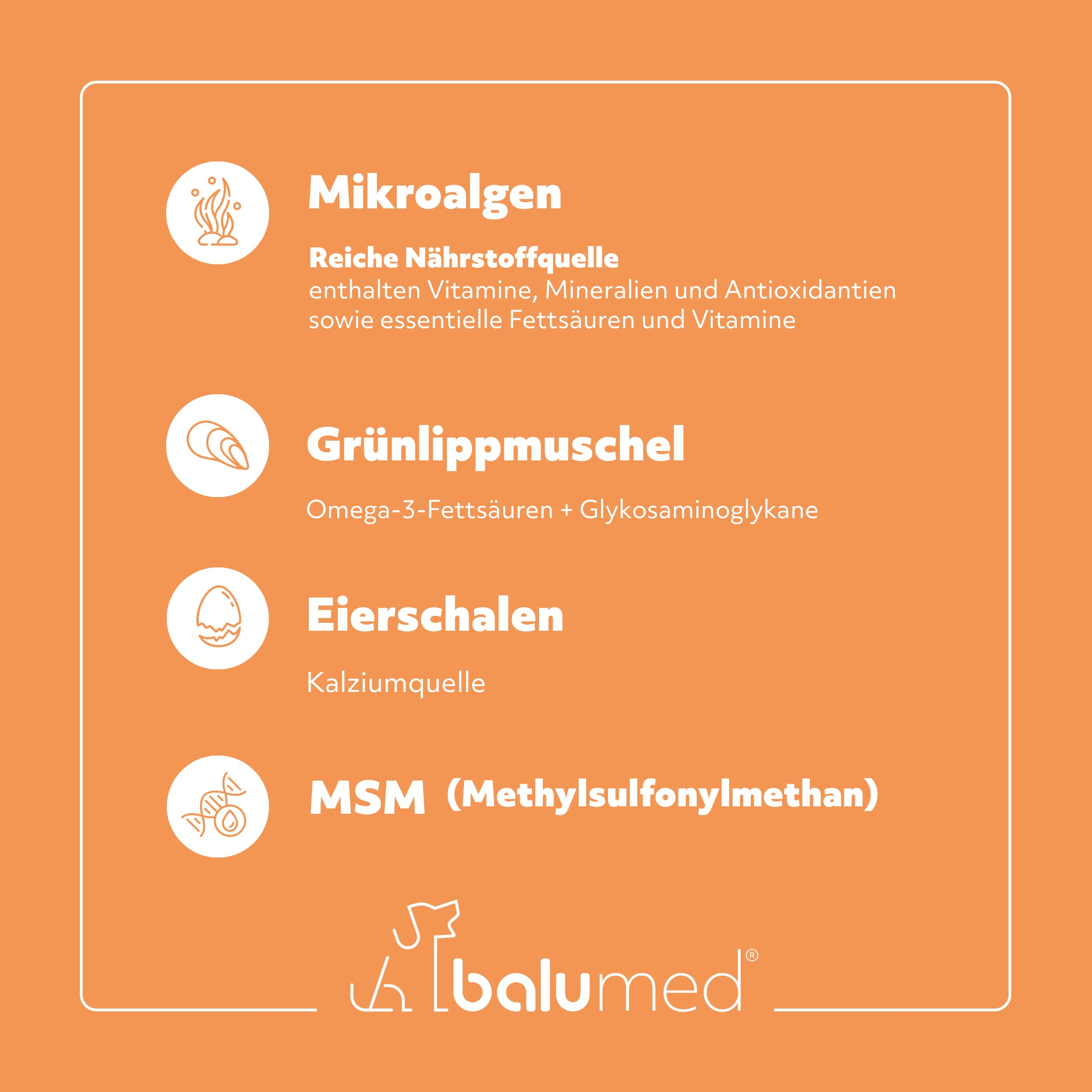 Senior + Vitalität – 120 Tabletten für ältere Hunde – Beweglichkeit, Gelenke & Vitalität – mit MSM, Eierschalen, Mikroalgen, Spirulina & Grünlippmuschel