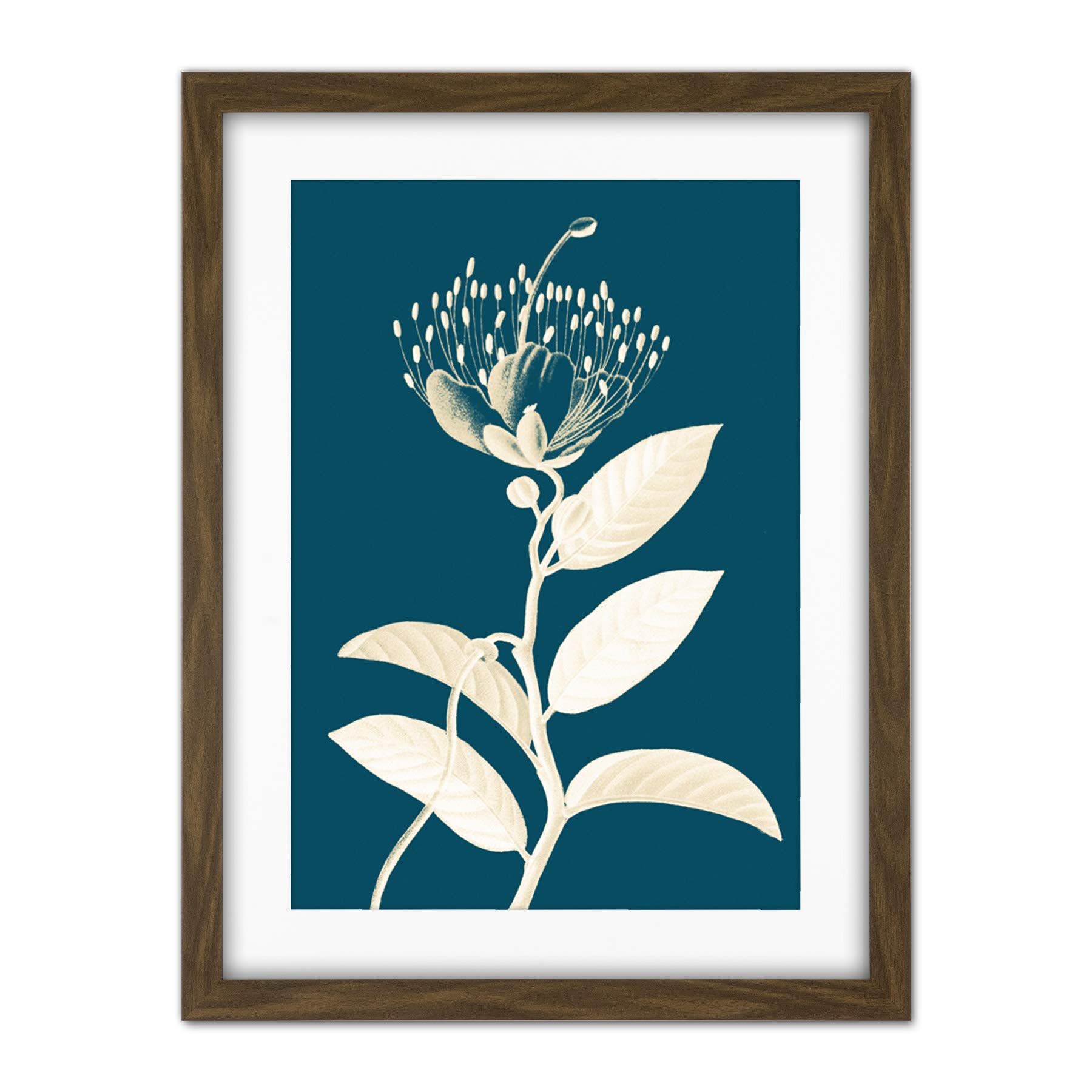 Wee Blue Coo Modern Bold Biodiversity Blue Plant Artwork Framed Wall Art Print 18X24 Inch