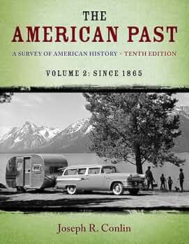 Amazon.com: The American Past: A Survey of American History