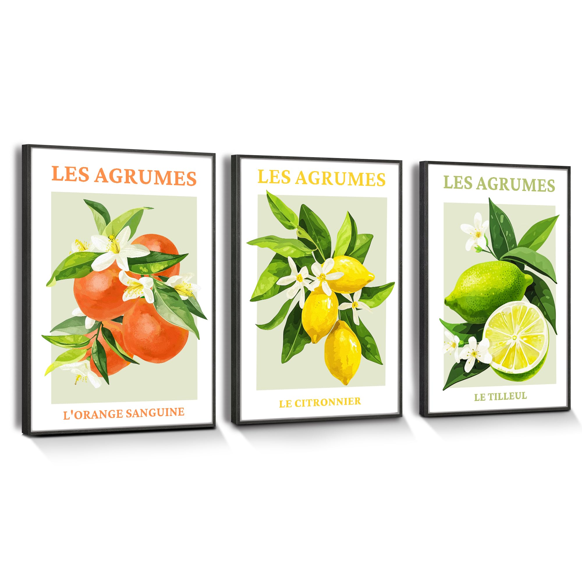 hyidecorart Citrus Fruit Canvas Wall Art with Black Frame, Modern Fruit Lemon Blood Orange Wall Pictures Living Room Farm Garden Decoration Kitchen Dining Room Bedroom Bathroom and Office
