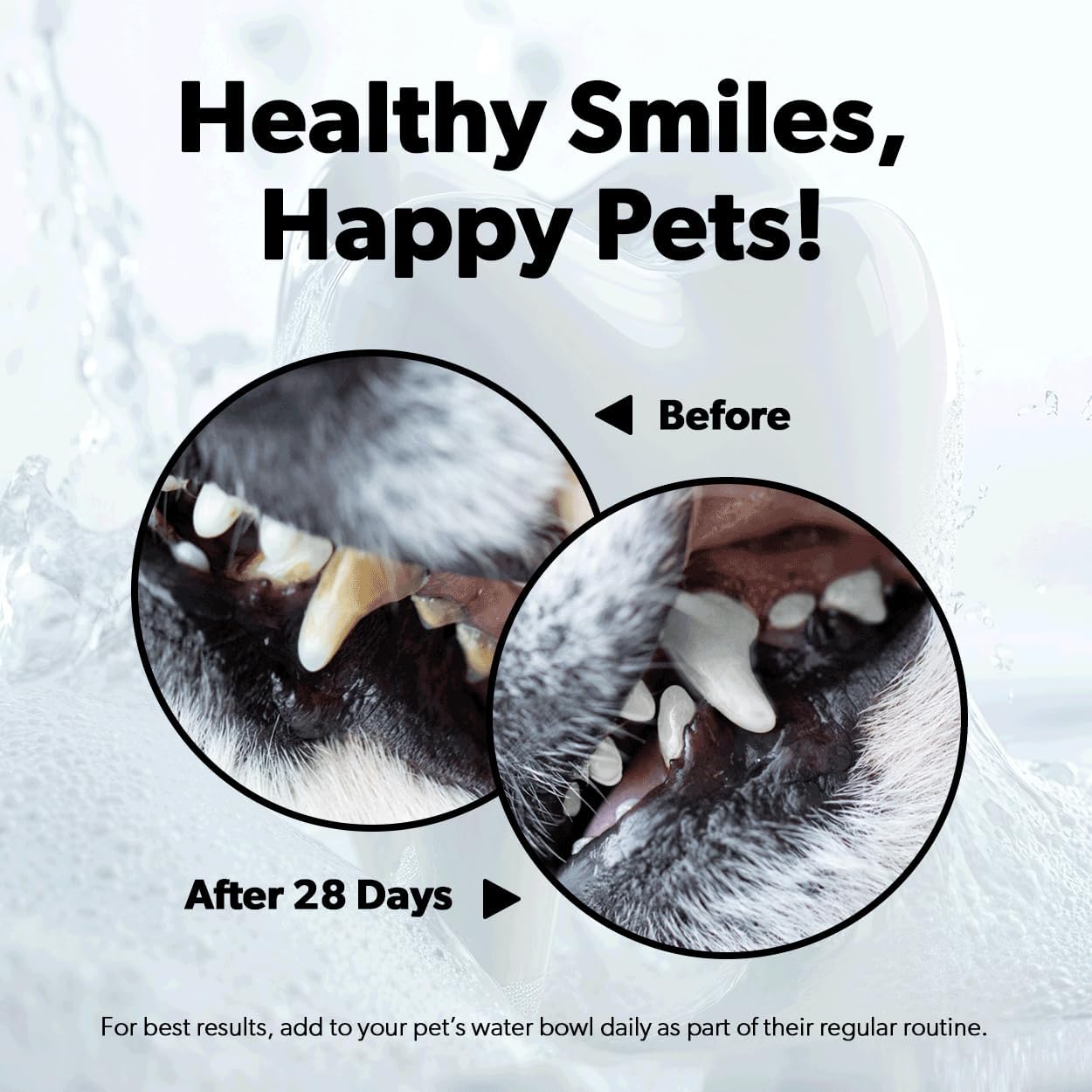 Pet Kiss Brighter Bite Dental Rinse for Pets, 1-Gallon