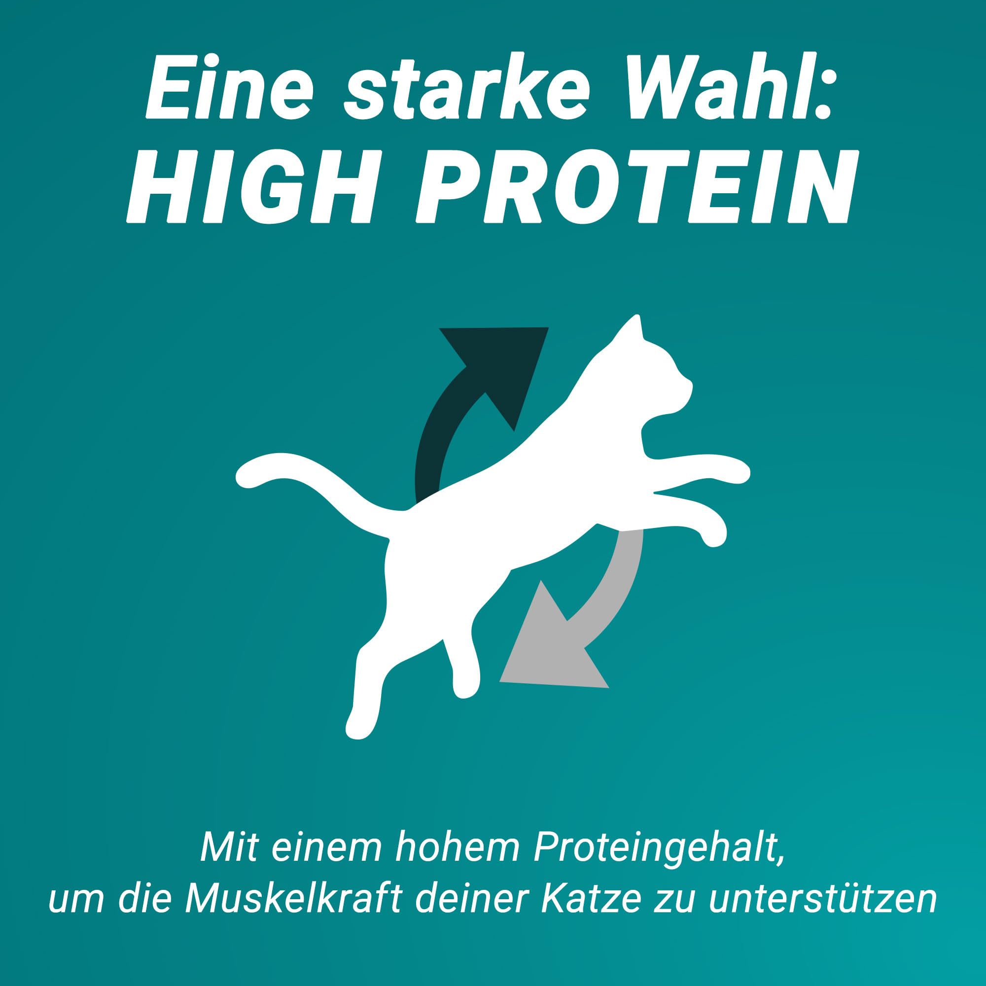 PURINA ONE High Protein, Katzenfutter trocken, reich an Lachs, 6 x 900g | Katzenfutter trocken