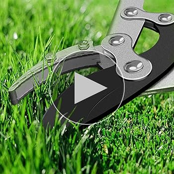 Amazon | Eastbury 園芸用ばさみ 太枝切鋏 切断径55mm 強力型 SK5高