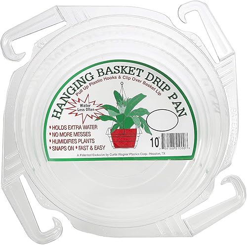 Curtis Wagner - Platillo transparente para colgar de 10 pulgadas (paquete de 10 unidades)