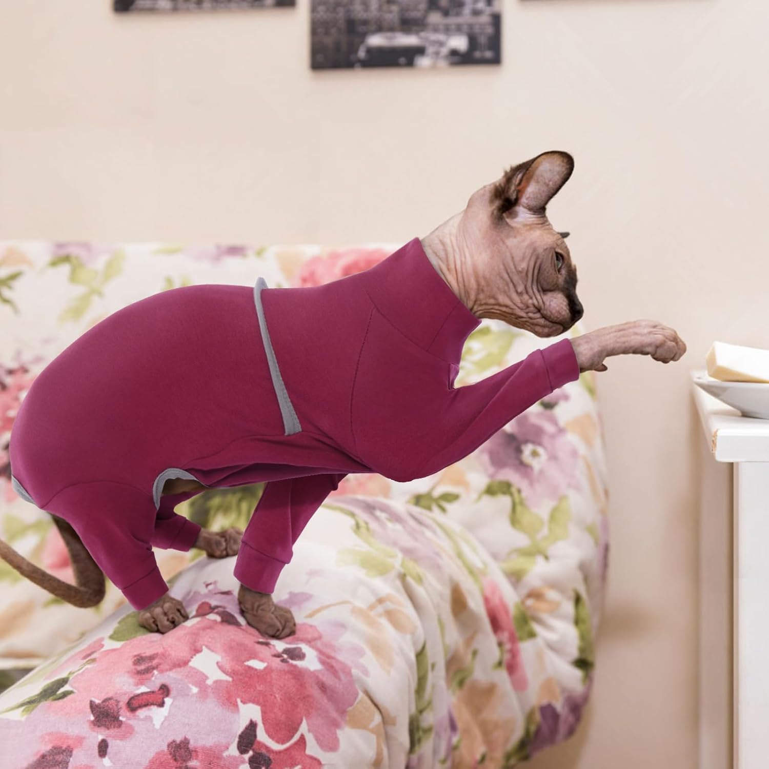 Cat Clothes QBLEEV Cat Recovery Suit Sticky Hair Onesie After