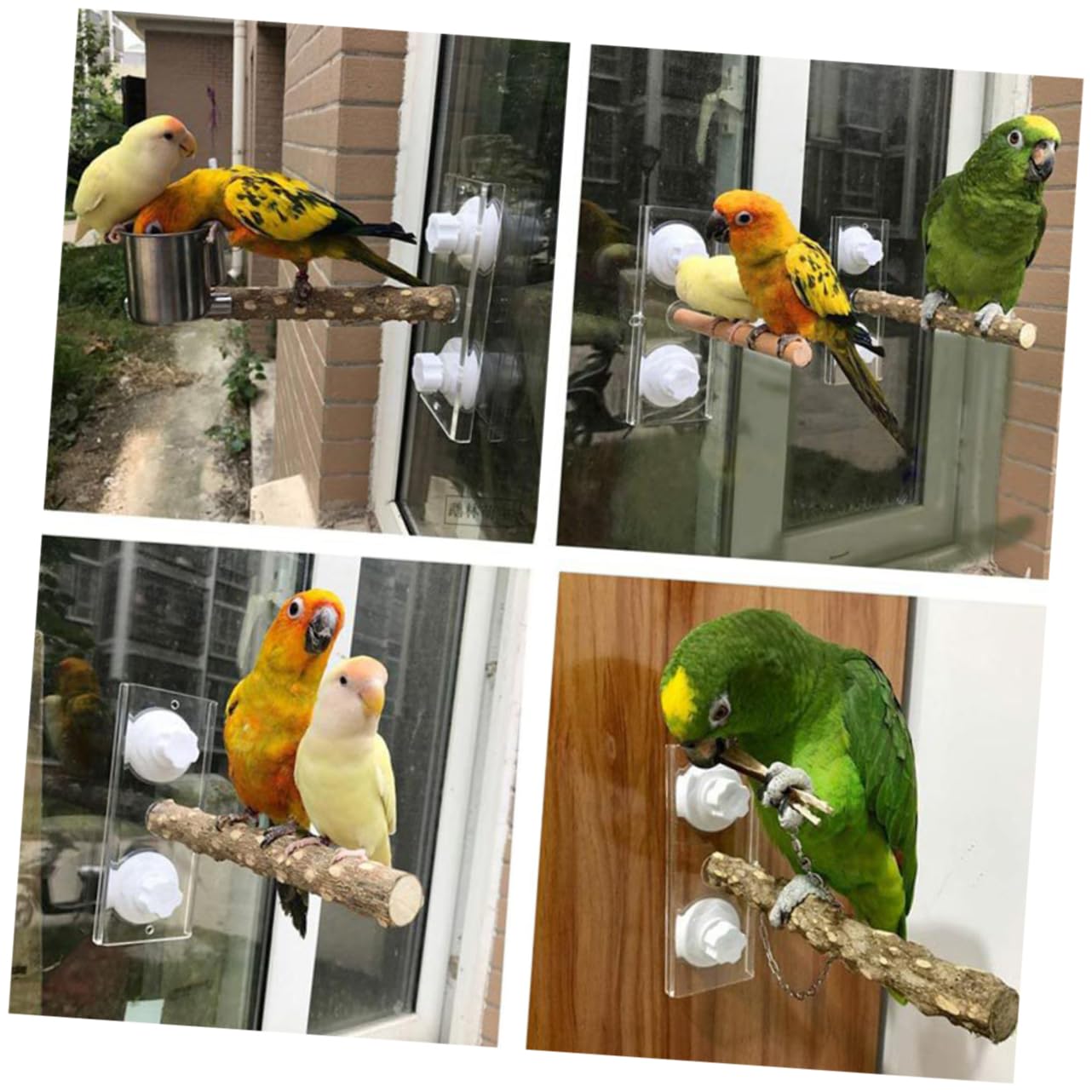 SUPVOX Parrot Spinner Toy Suction Cup Bird Stand Parrot Toy for Large Birds Portable