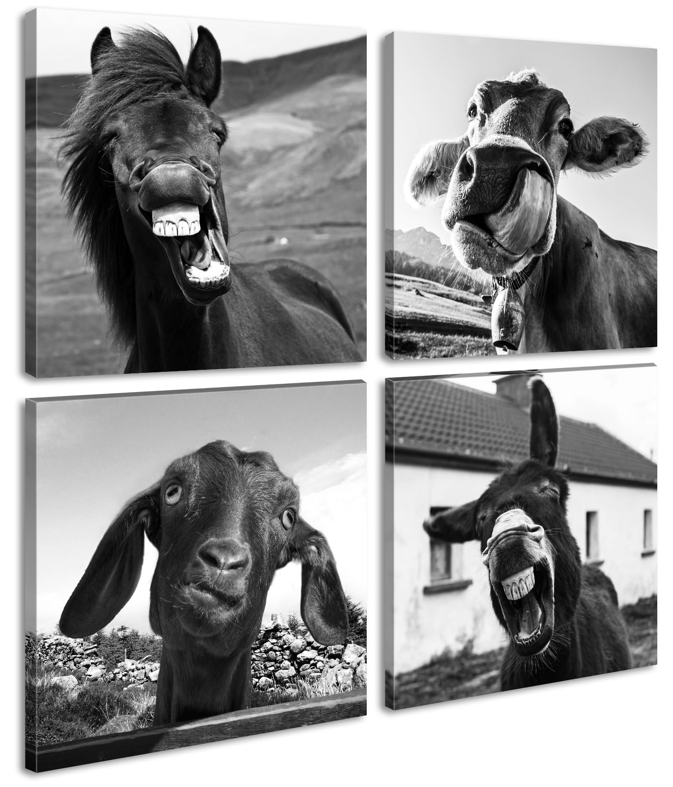 Black and White Wall Art Animal Wall Decor Horse Donkey Sheep Cow Canvas Pictures Prints Funny Decor Posters for Mens Bedroom Office Farmhouse Decoration Stretched Framed Ready to Hang 12×12 inch×4