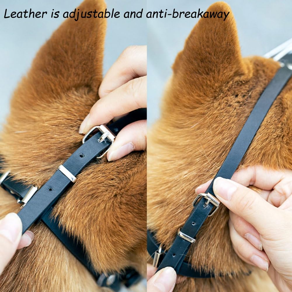 Bozal para Perro Bozales Anti-Morder Transpirable Cesta de Metal para la Cara para Perros Anti Morder y Ladrar,Correa de Cuero Ajustable Adecuada para Perros Grandes pequeños y medianos de 7.5 a 35 kg