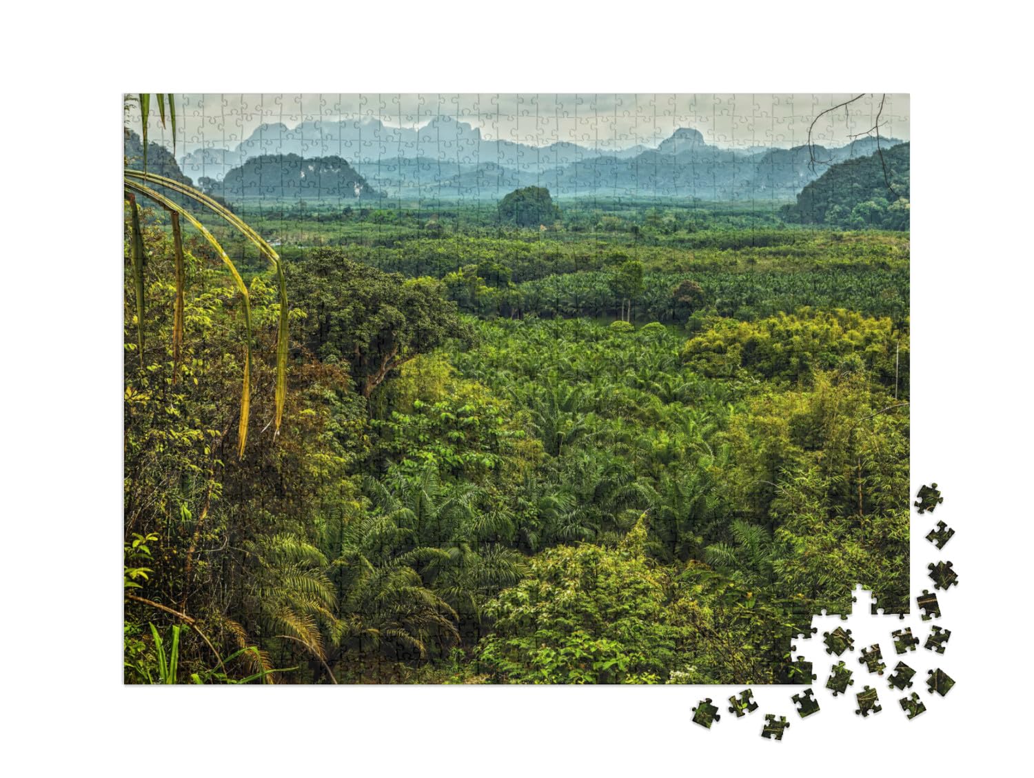 Puzzle 1000 pièces XXL « Paysage de forêt Tropicale en Thaïlande »