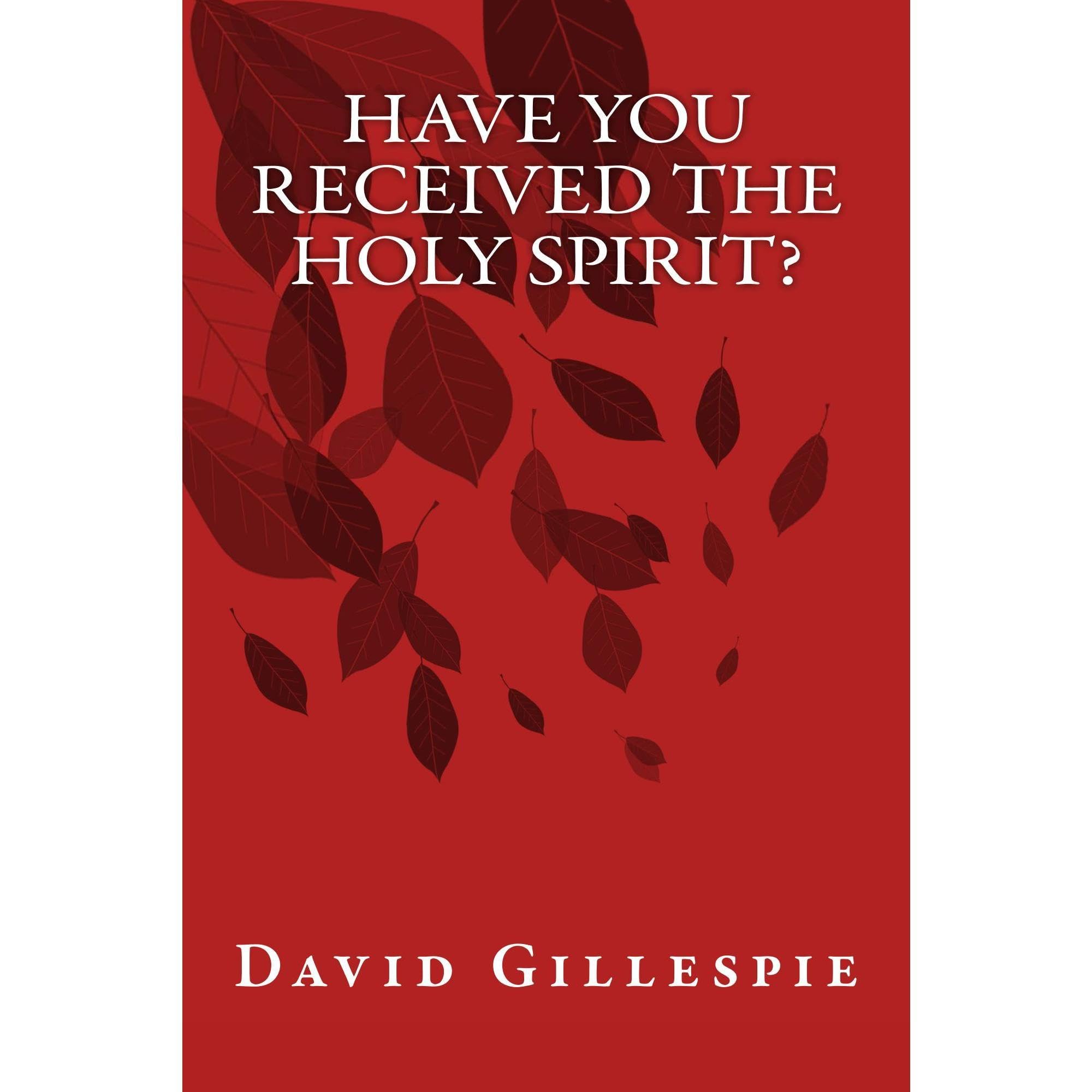 Have You Received the Holy Spirit?