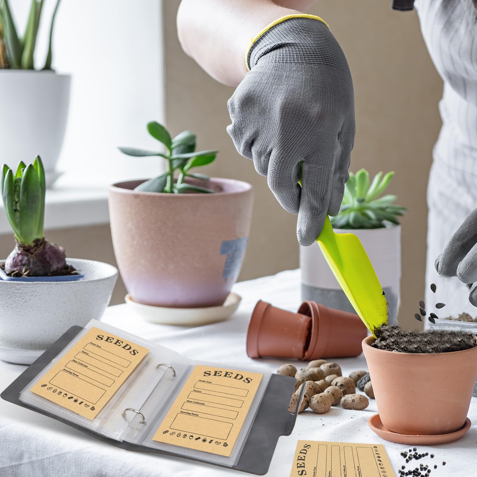 Magic Garden Seeds Zaad Adventskalender - Groenten, Kruiden Magic Garden Seeds Zaad Adventskalender - Groenten, Kruiden