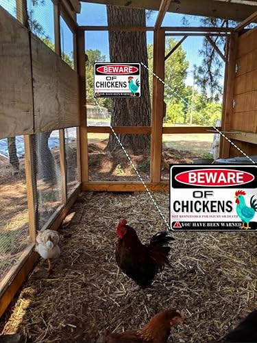 Miniatura 2 de Letrero de pollo humorístico – Letrero de advertencia de lata retro para patio, gallinero, café o pared, regalo de decoración de pollo