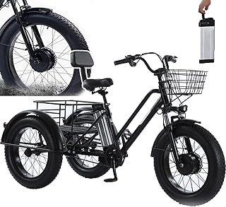 Tricycle électrique Pour Adultes - Charge 200 Kg, Vélo Cargo électrique à Pneus Larges De 20'' , Batterie Amovible 48 V/12 Ah - Autonomie 35 Km, Pour Les Trajets Domicile-Travail Et Les Voyages