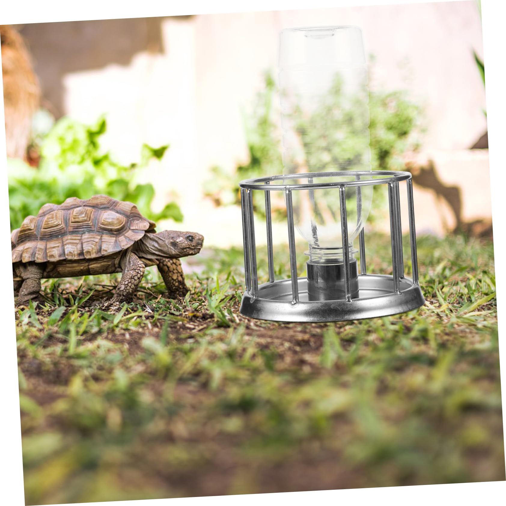4piezas Plato De Alimentación para Tortugas Comedero De Agua para Reptiles Inoxidable Mini Dispensador De Agua para Tortugas Pequeñas y para Terrarios
