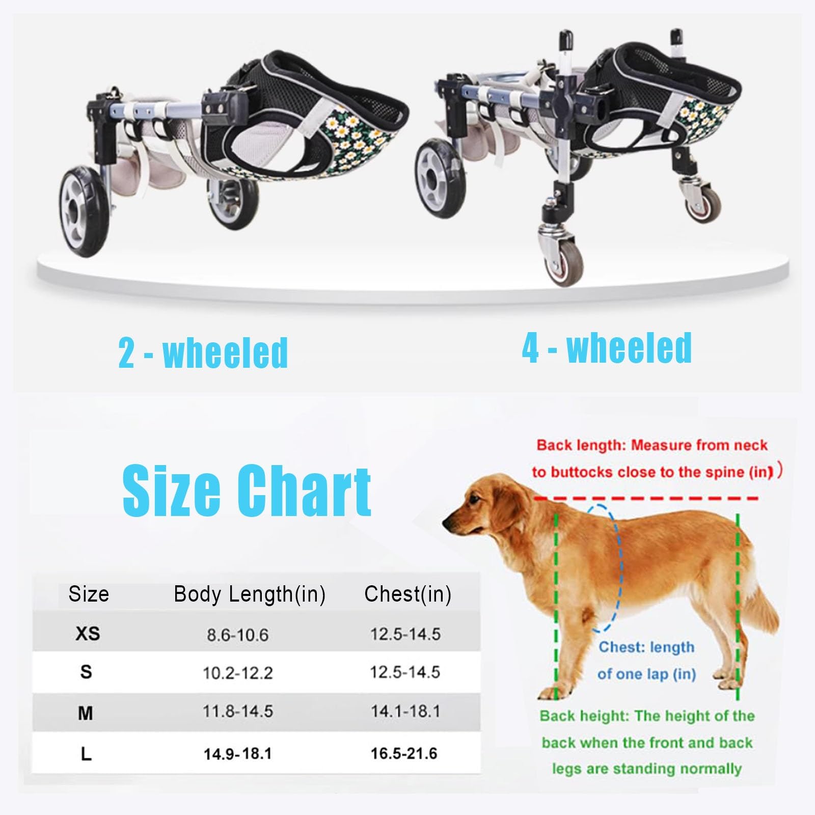 Amazon.co.jp: 軽量小型犬用車椅子 - 後脚部は頑丈なアルミ製、4輪設計