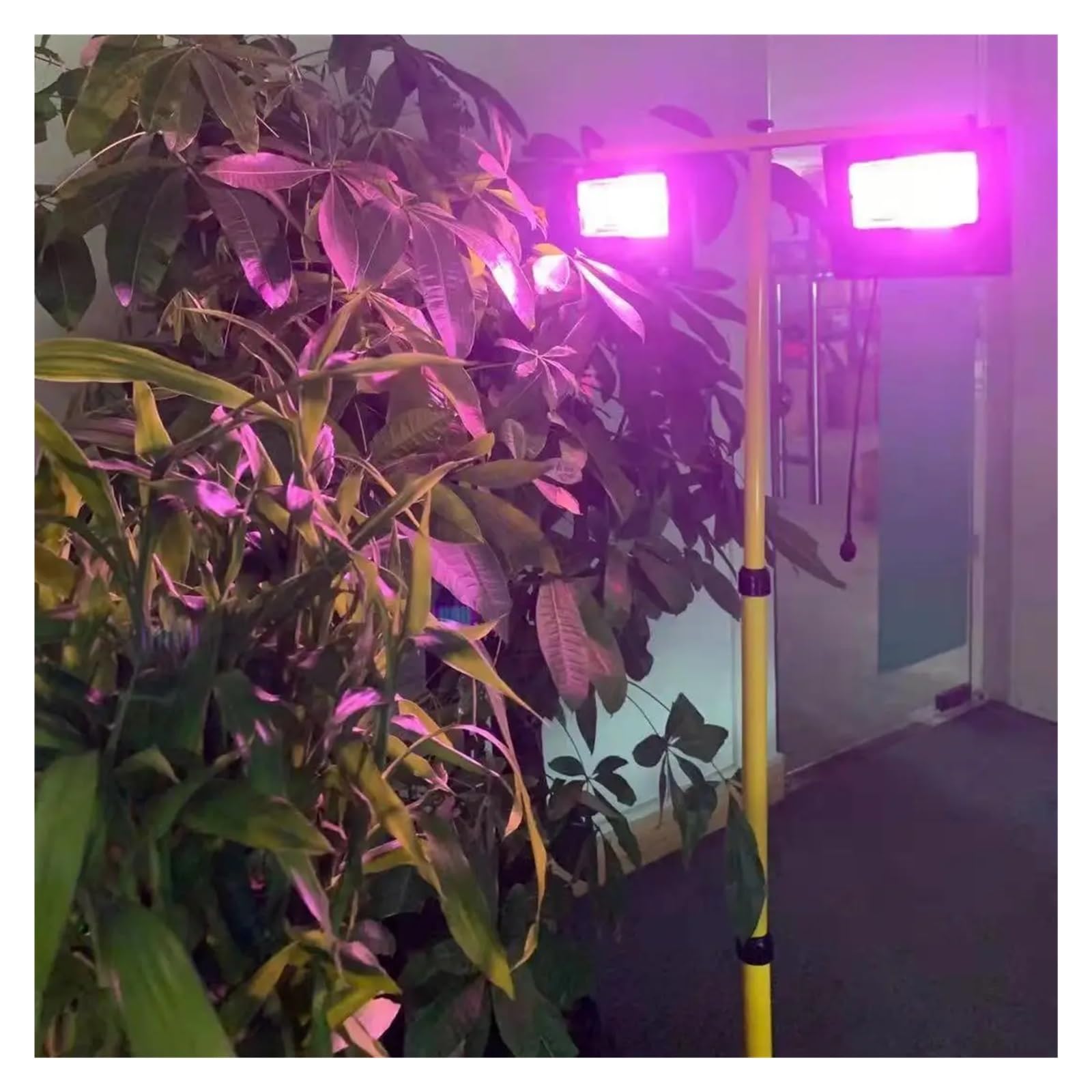 Luz de cultivo LED, Luz LED Solar for cultivo, reflector de espectro completo, luz de cultivo de plantas con control remoto, fitoamplificador impermeable for plantas de interior y exterior Para planta