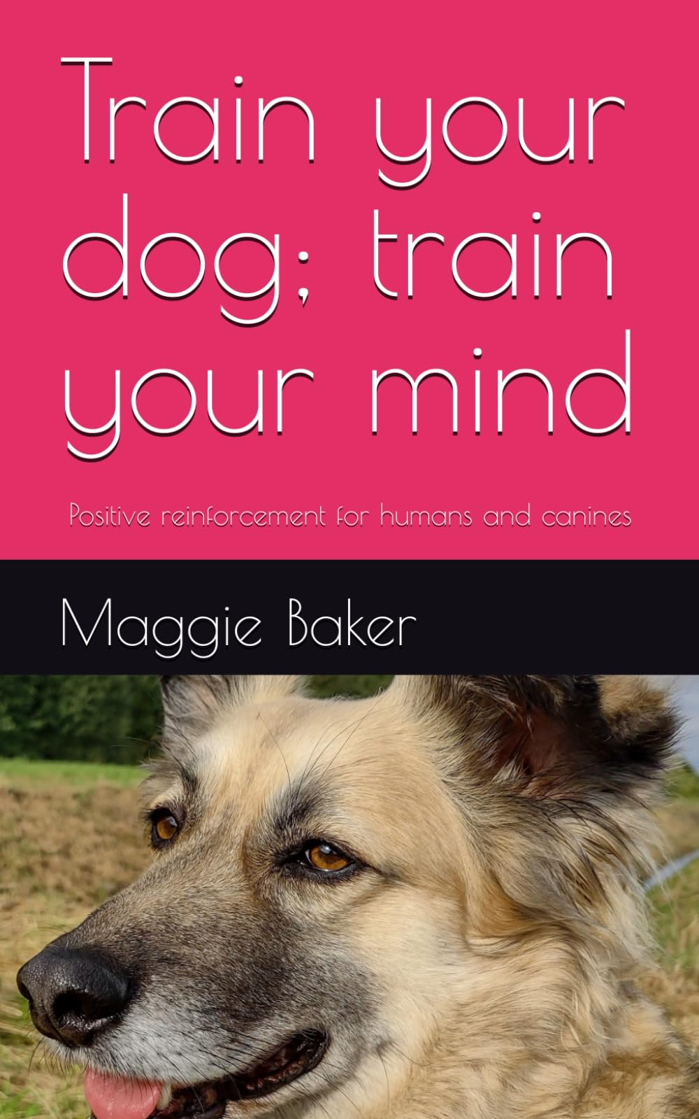 Train your dog; train your mind: Positive reinforcement for humans and canines