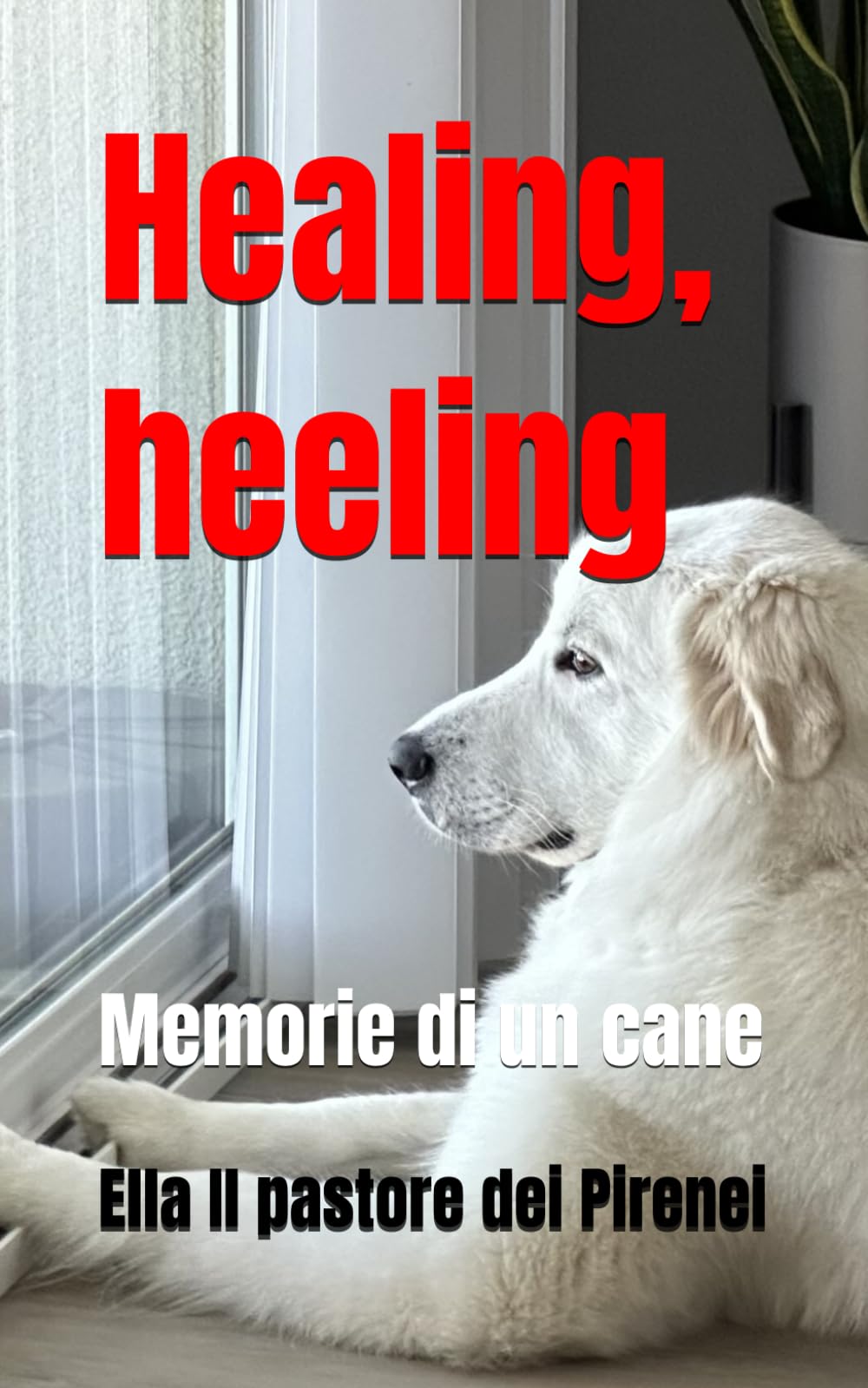 Healing, heeling: Memorie di un cane