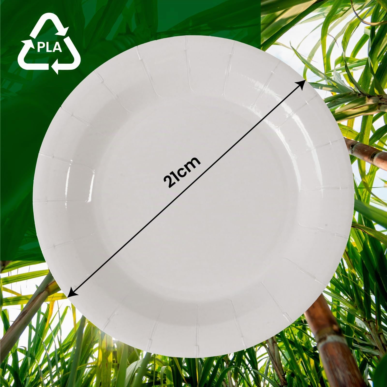 200 Piatti in Bioplastica Monouso 100% Ecologici - Diametro 21 cm - Ultra Resistenti e Rigidi in Bioplastica (PLA) - Biodegradabili e Compostabili - Perfetti per Picnic, Barbecue e Feste – Bianco