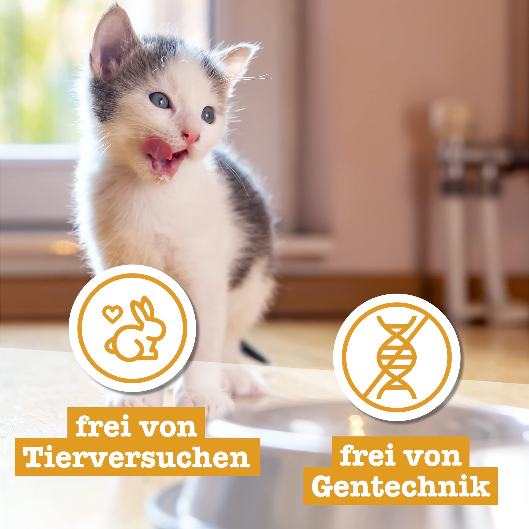 catz finefood Kitten N 7 mokra karma dla kotów wołowych i cielęcych – delikatesowa karma dla młodych kotów bez zbóż i cukru o dużej zawartości mięsa, worek 16 x 85 g