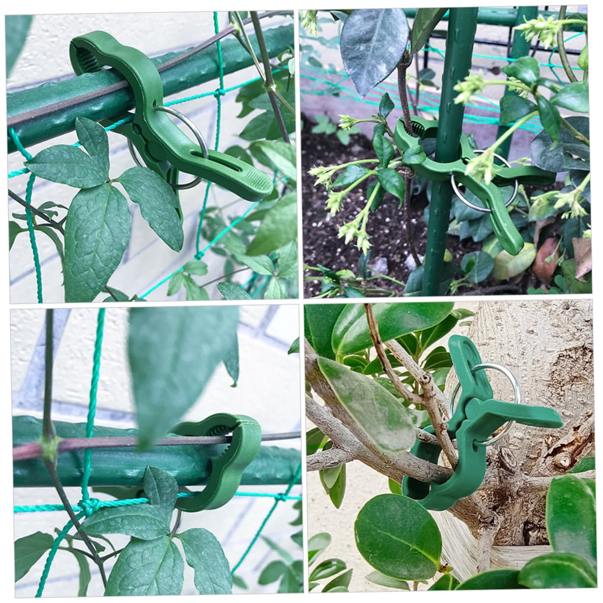 Sosoport 3 Sätze Gartenclips Für Pflanzenstützen Robuste Clips Zur Unterstützung Von Tomaten Gemüse Und Kletterpflanzen Einfache Handhabung Für Effektives Pflanzenwachstum 60 Stück * 3