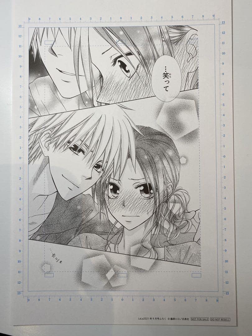 会長はメイド様　複製原画 Amazon.co.jp: 会長はメイド様 複製原画2枚 藤原ヒロ LaLa付録 : おもちゃ