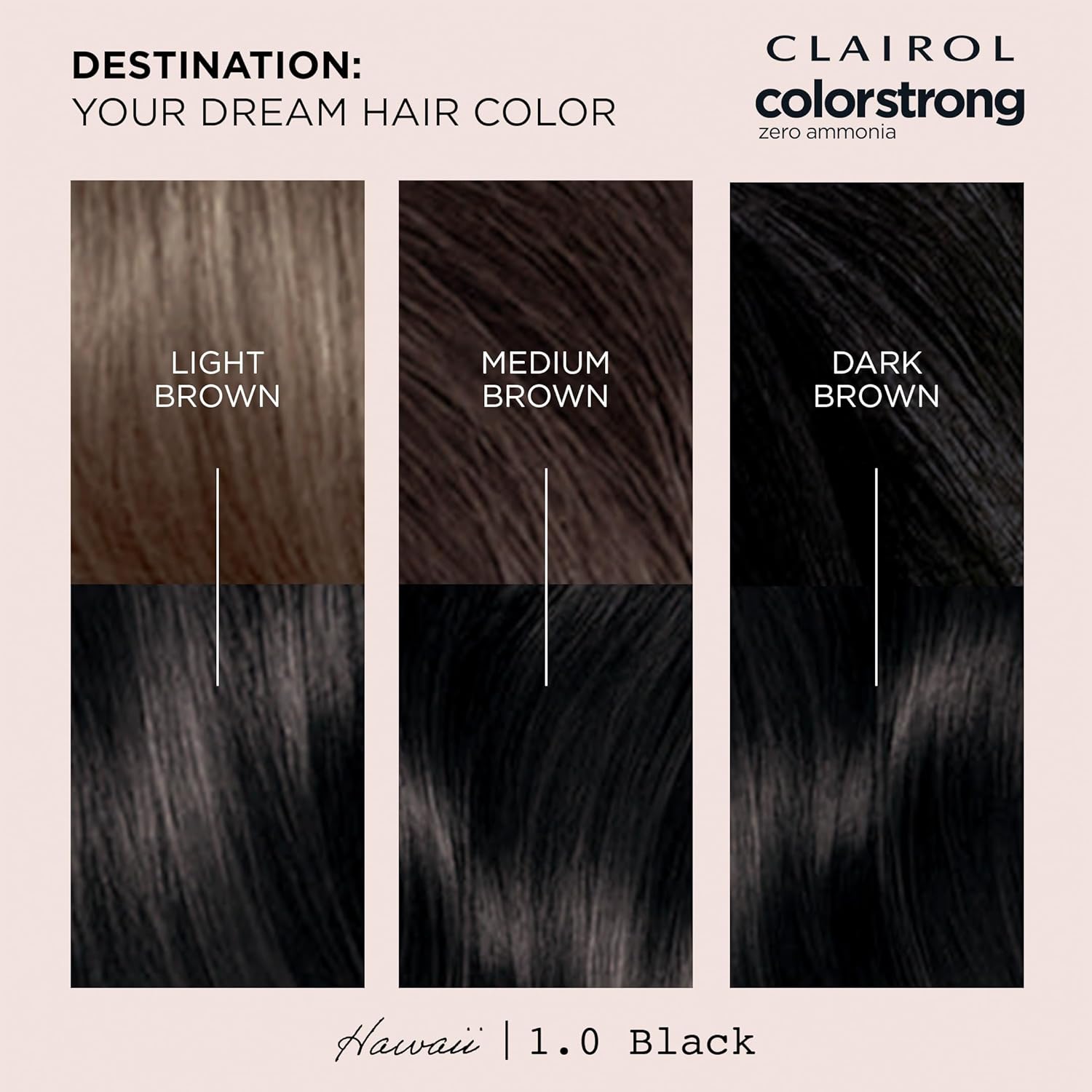 Clairol ColorStrong Permanent Zero Ammonia Hair Dye, 1.0 Black - Hawaii Hair Color, Pack of 1 - Image 7
