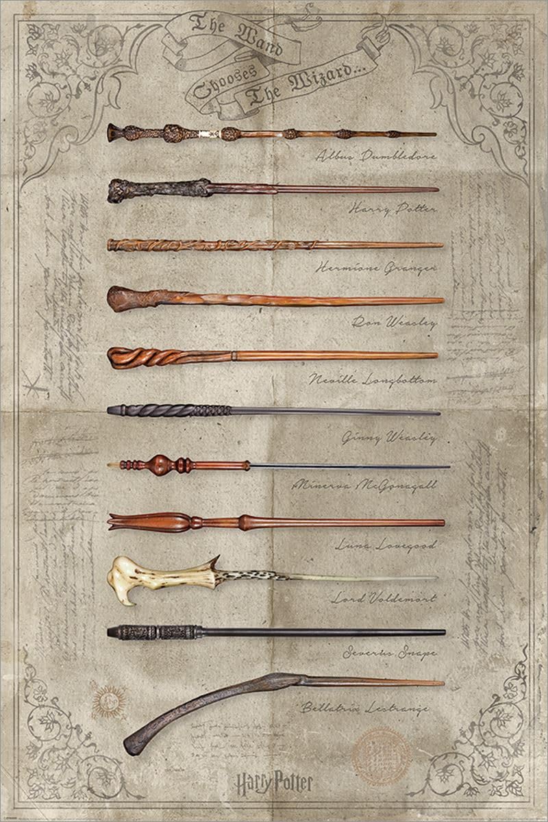 Laminated Harry Potter The Wand Chooses The Wizard Maxi Poster