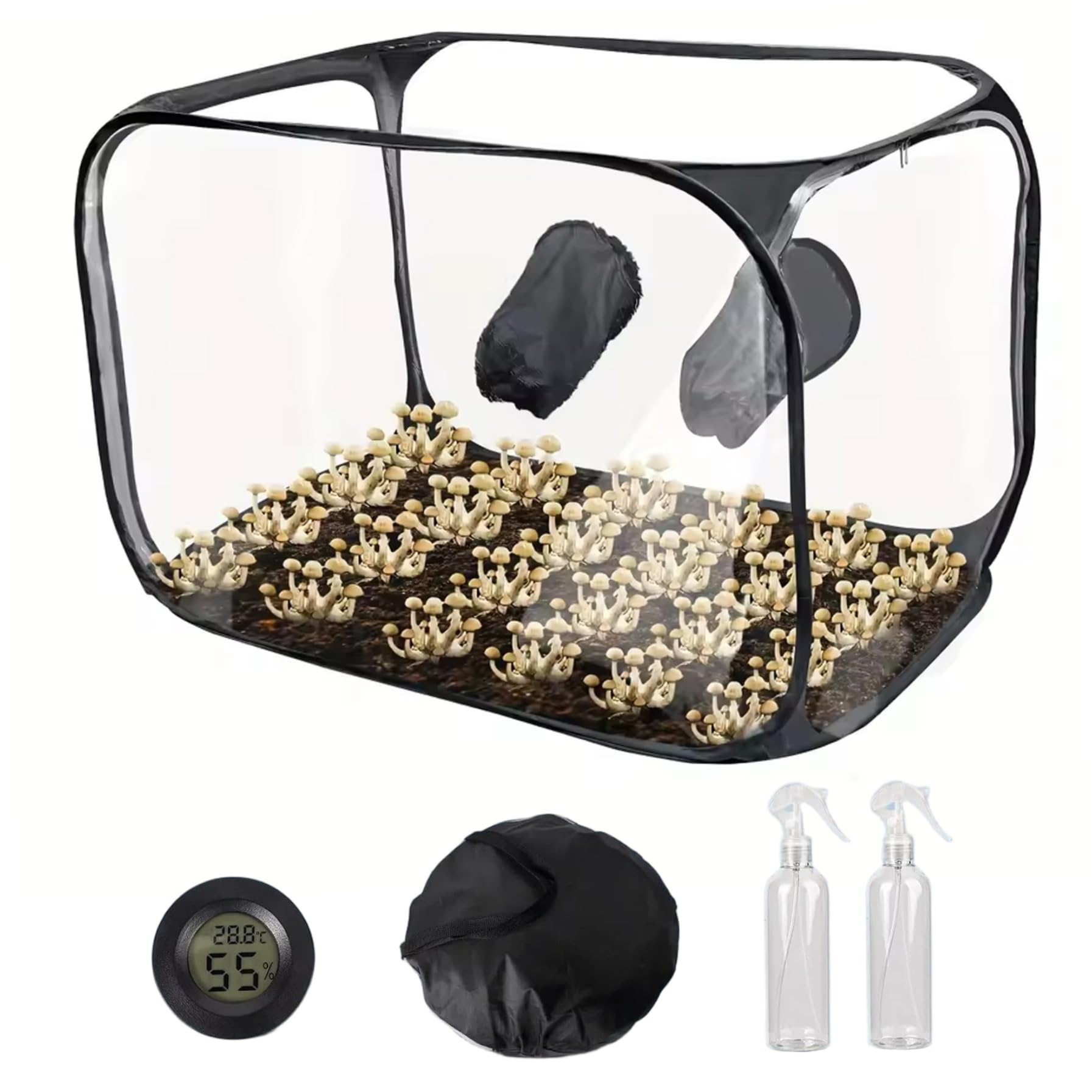 Boîte culture transparente de champignons 38x20x25" pour réussir vos récoltes