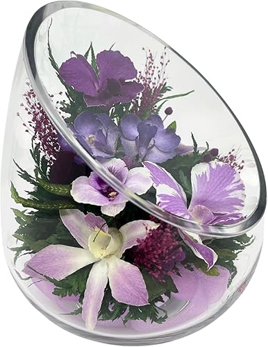 Miniatura 7 de Fiora Flower  Orquídeas de larga duración  Dura hasta 5 años  Sin necesidad de agua  Sin alergias  Resistente al olor  Regalo único