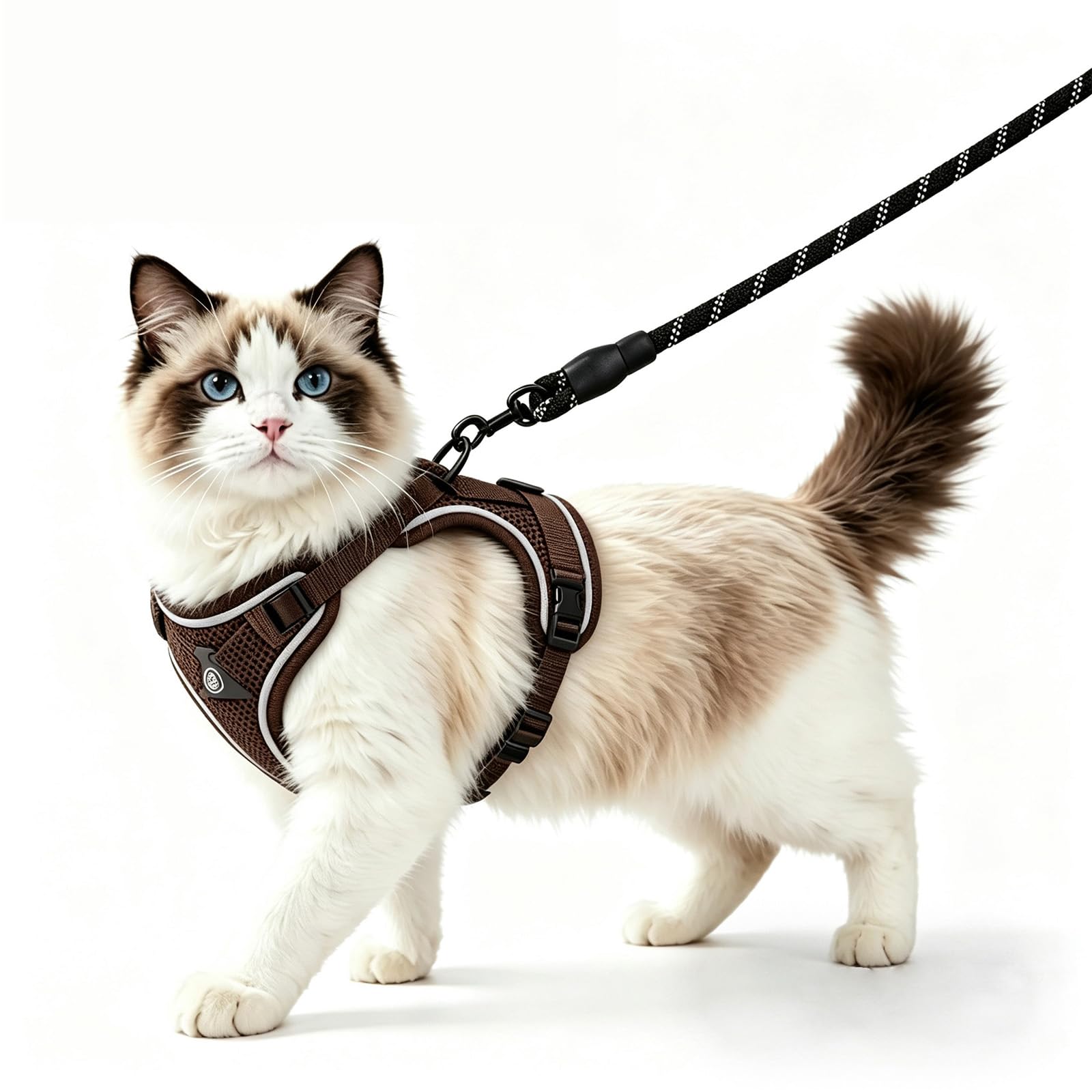 Cat Harness and Lead Set, Escape Proof Soft Adjustable Cat Leash Breathable Comfortable Vest, Adjustable Vest for Small Cat Walking Travel, Metal Ring, Escape Proof Kitten Harness with Leash（Black,S）