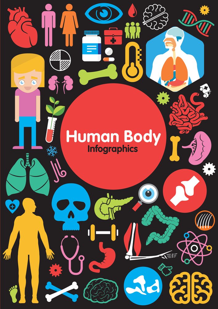 Human Body Infographics, Harriet Brundle,  Hardbac
