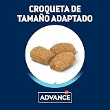 Ver la foto 8