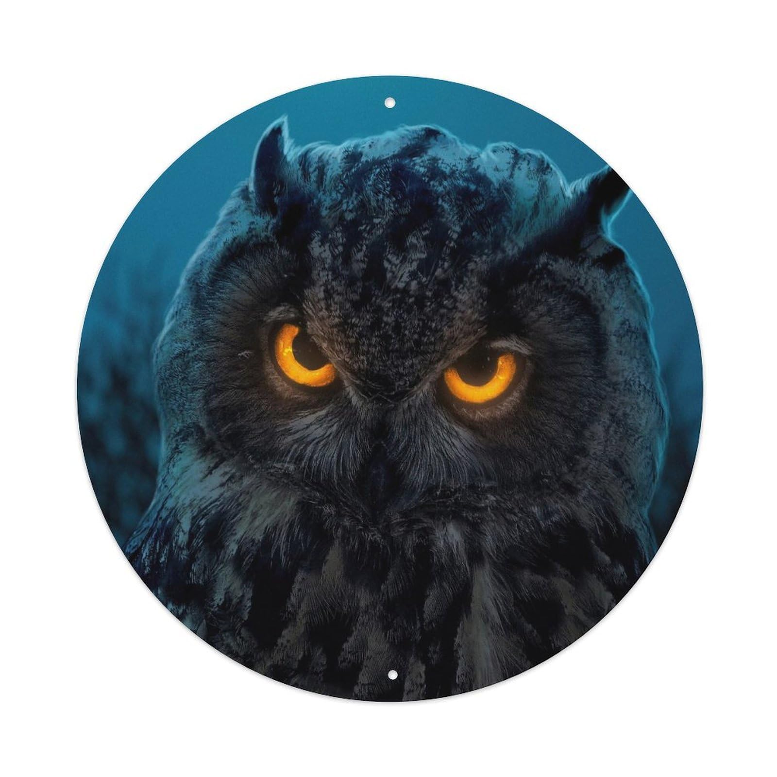 Birds Animal Poster Mystery Totem Owl Metal Tin Sign