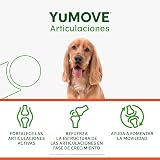 Ver la foto 4