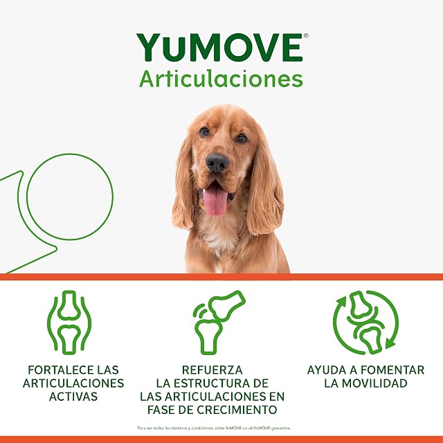 Foto 4 de 6 de Yumove Condroprotector Perros Desde 8 Semanas, 60 Comprimidos ActivEase