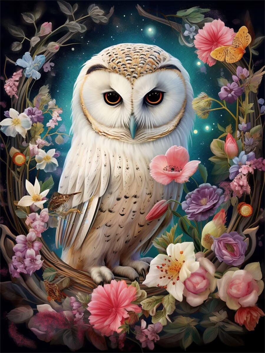 Broderie diamant hibou 70x80cm avec kit complet de foret pour loisirs