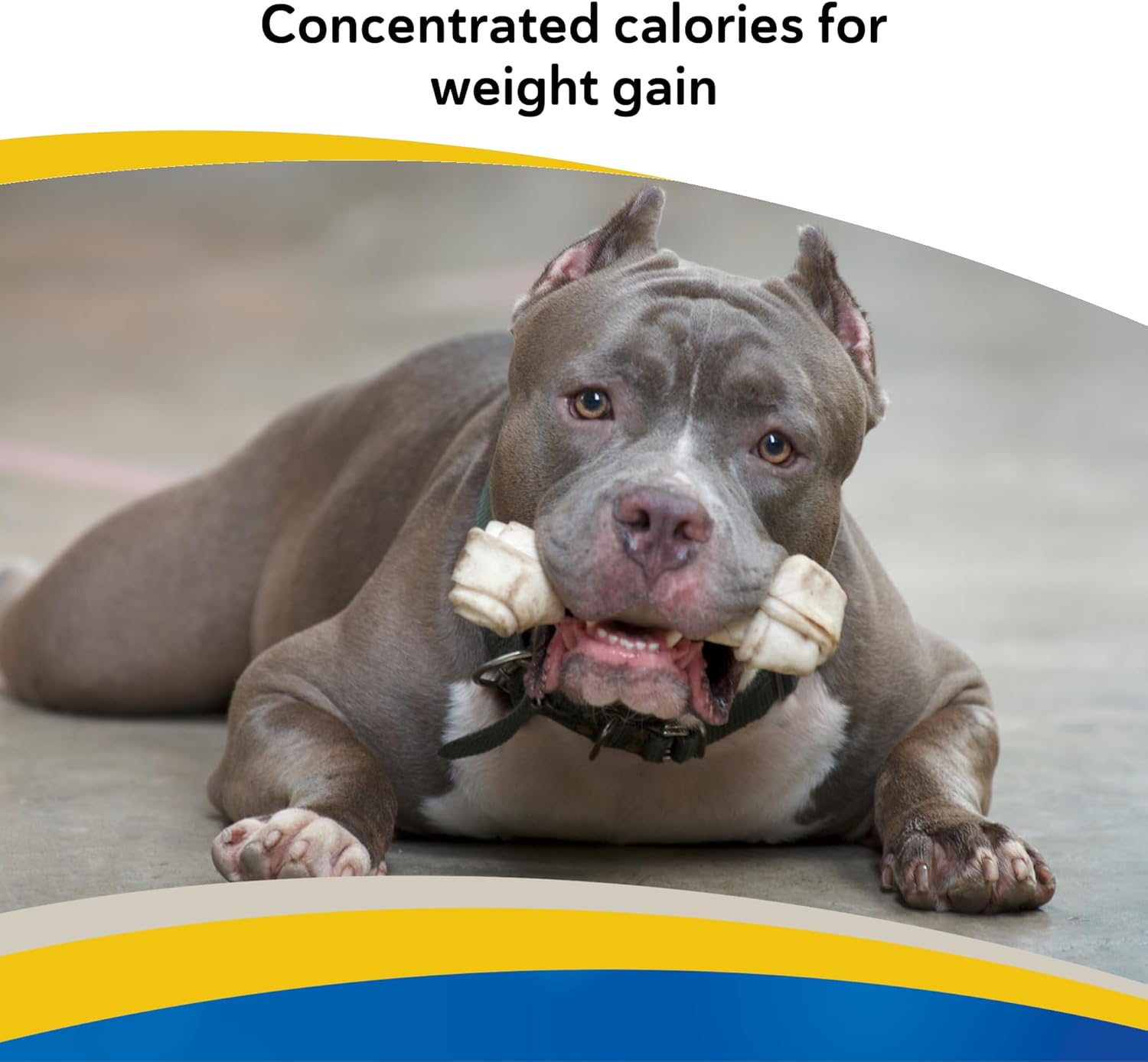 Doc Roy’s Forti Cal Soft Chews, High-Calorie Energy Supplement for Dogs & Cats, Boosts Appetite, Weight Gain & Recovery, Tasty Roast Beef & Liver Flavor, 120ct