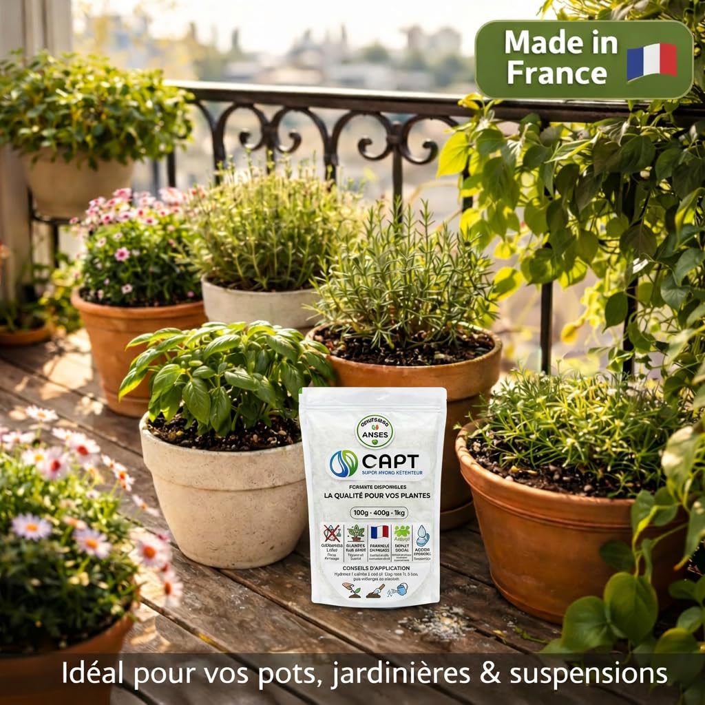 CAPT Super Hydro - Contenitore d'acqua per piante interne ed esterne, 400 grammi