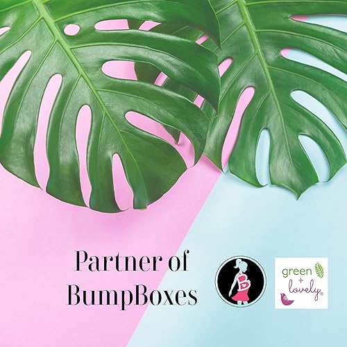 Miniatura 8 de Green+Lovely - Bálsamo para pezones orgánico de hierbas de la naturaleza para lactancia materna, chupete de pezones agrietados, ungüento esencial de